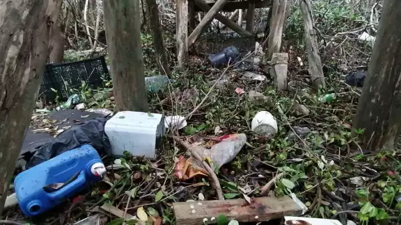 Sólo voluntarios realizan jornadas de aseo, y únicamente una vez al año