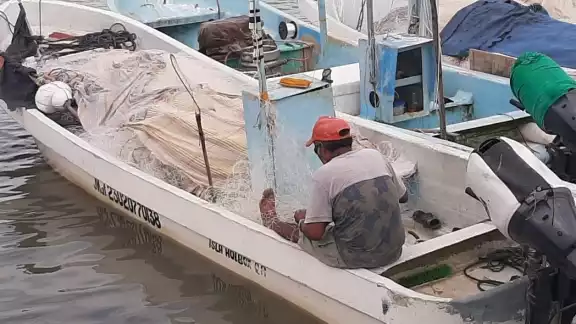Ayer se levantó la veda e inició la captura de crustáceo Ayer se levantó la veda e inició la captura de crustáceo