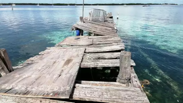 Descartan proyectos institucionales para rescatar al sector