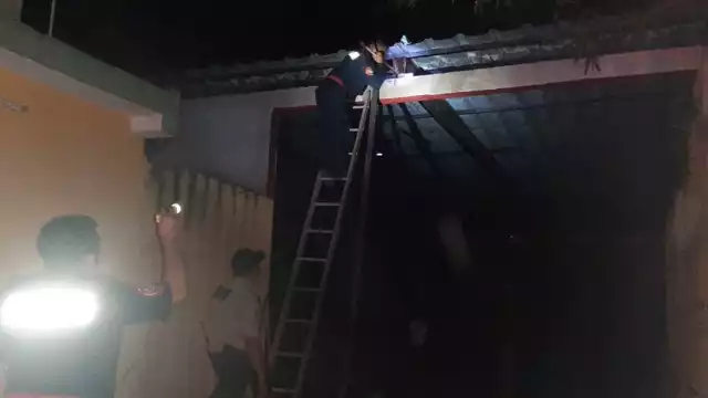 Las abejas se encontraban en la terraza de su vivienda