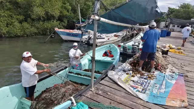 En los dos últimos años, los precios de los productos de mar se redujeron hasta en 50 por ciento, lamentaron los agremiados