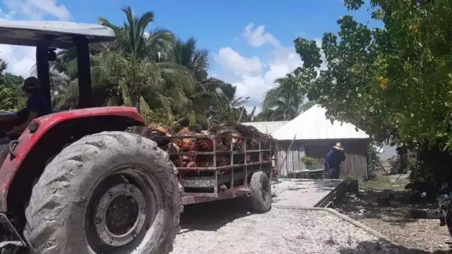 Ciudad del Carmen es un importante productor de aceite de palma