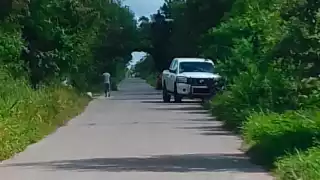 Foto:  Alejandro Colli