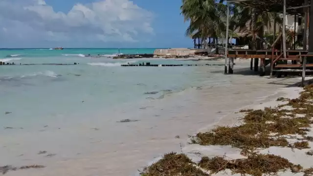 Uno de los destinos de la Riviera Maya presentó mejoría en sus playas tras permanecer varios días con recale abundante de sargazo en su costa