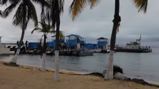 Desde que inició la temporada de sargazo 2023 hasta la fecha han recolectado 21 mil 405 toneladas; y desde el 2019, un aproximado de 225 mil toneladas