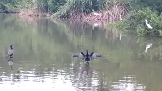 Isla Mujeres realiza tercer desalojo de agua pluvial para prevenir desbordamientos