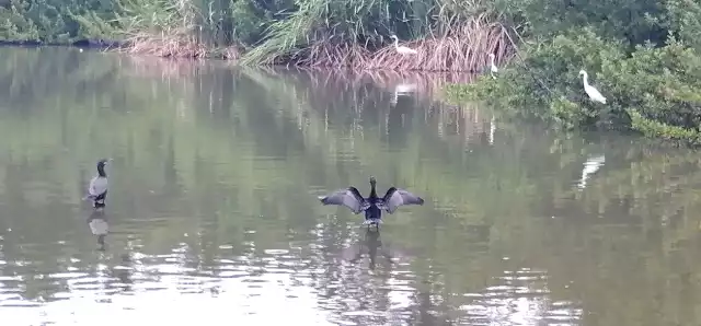 Protección Civil reduce niveles de lagunas para enfrentar sequía y lluvias intensas