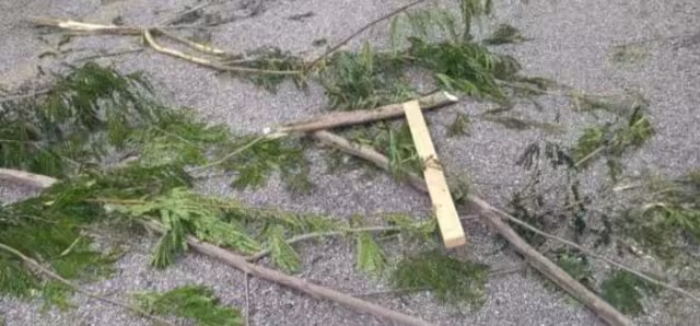 Presuntos delincuentes bloquearon la carretera con ramas y troncos