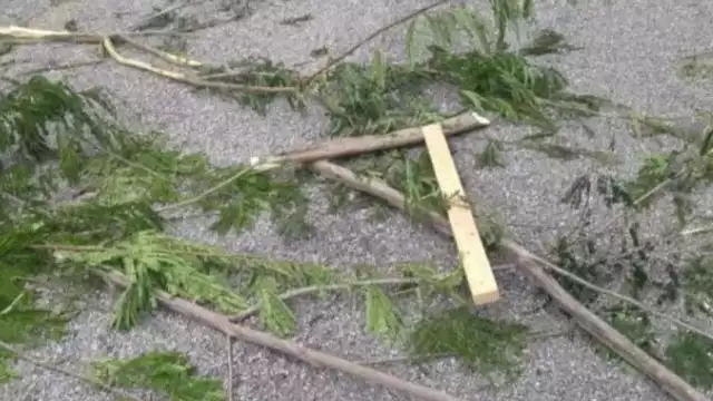 Presuntos delincuentes bloquearon la carretera con ramas y troncos