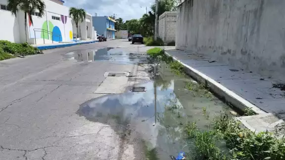 Los padres de familia de los menores que ingresan a la guardería de la colonia Flores Magón rechazarp que la CAPA se haya acercado al sitio del rebose de aguas resuduales en Cozumel Los padres de familia de los menores que ingresan a la guardería de la colonia Flores Magón rechazarp que la CAPA se haya acercado al sitio del rebose de aguas resuduales en Cozumel