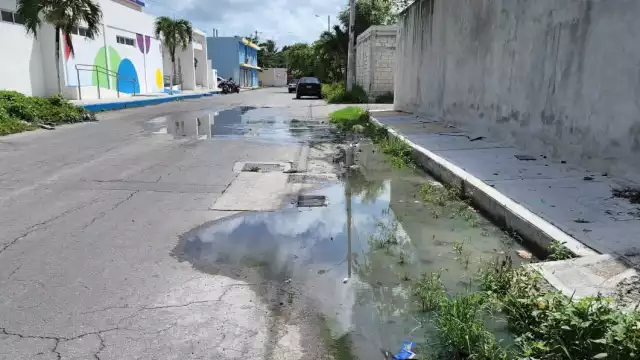 Los padres de familia de los menores que ingresan a la guardería de la colonia Flores Magón rechazarp que la CAPA se haya acercado al sitio del rebose de aguas resuduales en Cozumel