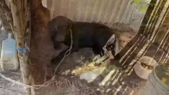 Los hechos ocurrieron en la comunidad de Uvero, en la Costa Maya de Quintana Roo Los hechos ocurrieron en la comunidad de Uvero, en la Costa Maya de Quintana Roo
