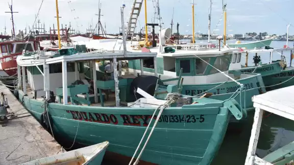 El próximo 1 de marzo comienza la veda de la langosta, intensificando el desempleo de los marineros El próximo 1 de marzo comienza la veda de la langosta, intensificando el desempleo de los marineros