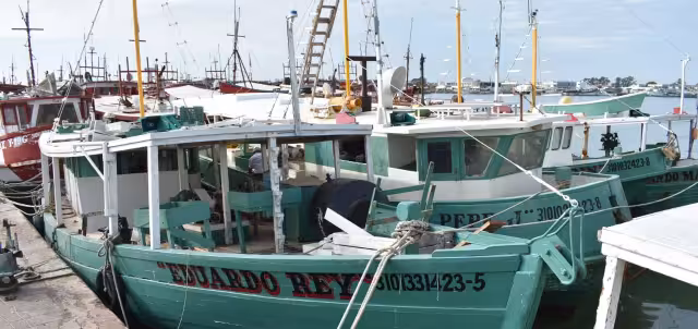 El próximo 1 de marzo comienza la veda de la langosta, intensificando el desempleo de los marineros