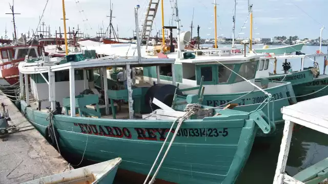 El próximo 1 de marzo comienza la veda de la langosta, intensificando el desempleo de los marineros