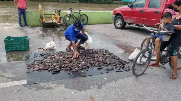 La topota también es regalada por algunos pescadores