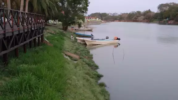 Secretario técnico del Consejo municipal de Protección civil asegura que el río de Palizada no representa peligro de desborde Secretario técnico del Consejo municipal de Protección civil asegura que el río de Palizada no representa peligro de desborde
