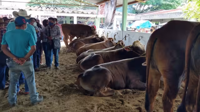 La se había suspendido en dos ocasiones por la contingencia sanitaria por COVID-19