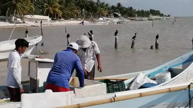 Los motores que fueron robados valen en total cerca de 350 mil pesos