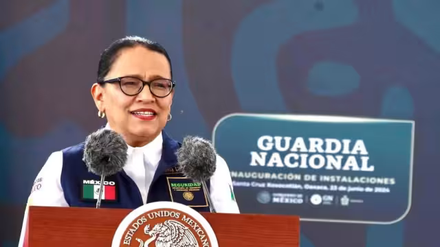 Secretaria de Seguridad y Protección Ciudadana, Rosa Icela Rodríguez