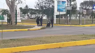 FGE detienen a 'el Gato' por delitos contra la salud en Cozumel