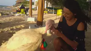 'Uri' comenzó a desarrollar comportamientos de amistad con su dueña