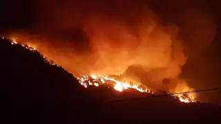 Imagen del fuego devorando la vegetación