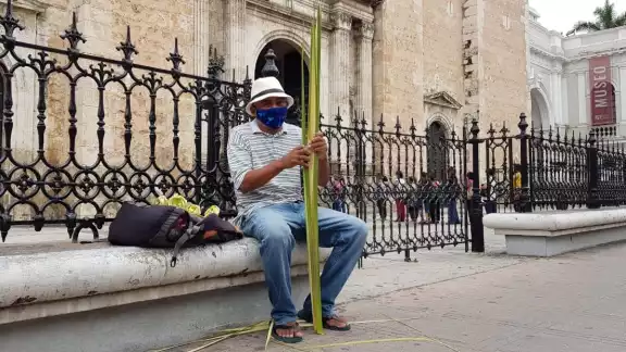 Las rosas no tienen precio, sólo pide una colaboración Las rosas no tienen precio, sólo pide una colaboración