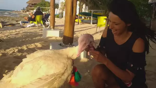 'Uri' comenzó a desarrollar comportamientos de amistad con su dueña