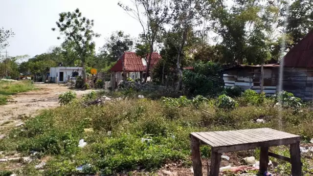 Los invasores son fácilmente señalados por la sociedad tulumnense