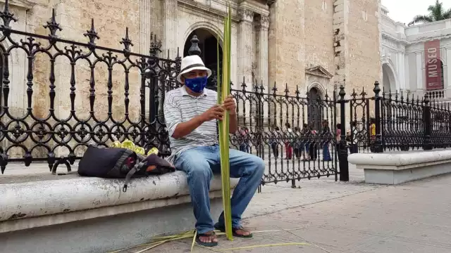 Las rosas no tienen precio, sólo pide una colaboración