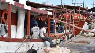  Pescadores de Progreso  exigen combatir la captura  ilegal de especies