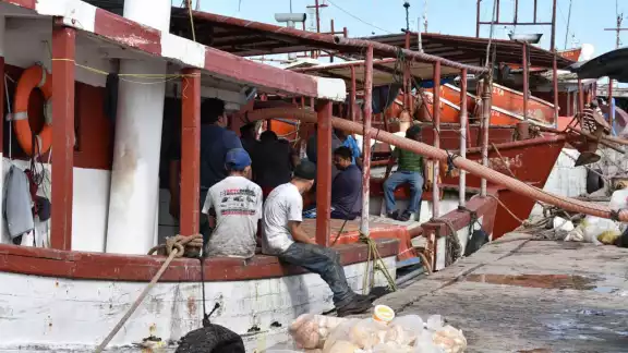 Detectan la descarga furtiva de especies marinas en puntos muertos durante la temporada de veda Detectan la descarga furtiva de especies marinas en puntos muertos durante la temporada de veda