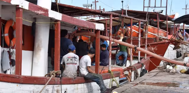Detectan la descarga furtiva de especies marinas en puntos muertos durante la temporada de veda