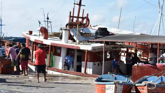 Hay posibilidad de que se extienda el período de captura del molusco hasta el próximo 31 de diciembre