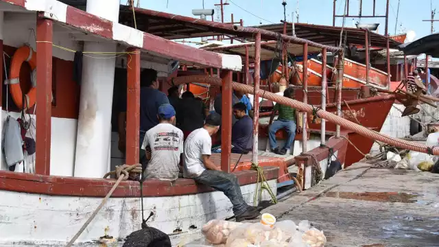 Detectan la descarga furtiva de especies marinas en puntos muertos durante la temporada de veda