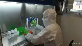 Los investigadores aplicaron pruebas al agua residual