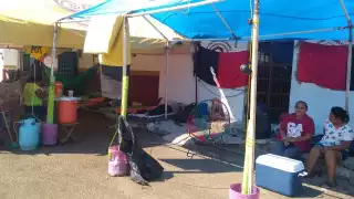 Aseguran que hasta la fecha no hay respuestas de Diego Palomo