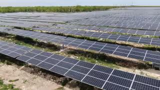 Destinan mil millones de pesos para proyectos de energía solar en Quintana Roo