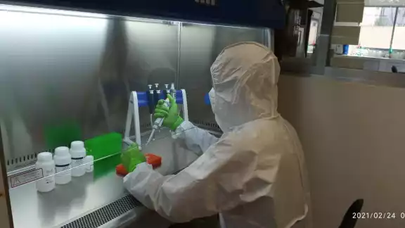 Los investigadores aplicaron pruebas al agua residual