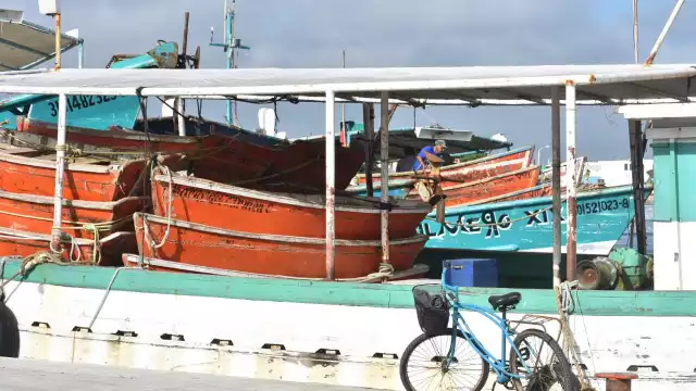 Pescadores mantienen una captura estable de escama y precios favorables del producto en el mercado