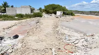 Preocupa el aumento de terrenos de invasión en zonas del manglar en Progreso