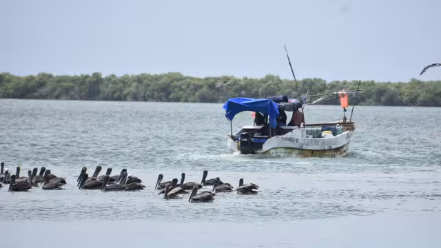 Los pescadores han denunciado diversos casos de captura ilegal de especies marinas en veda
