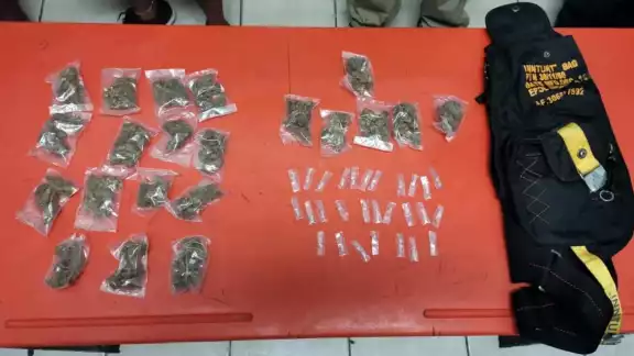 Un binomio canino de la unidad K-9 dio aviso a los agentes quienes realizaron una inspección a los hombres