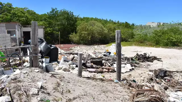 La contaminación en los manglares sigue siendo un problema en el puerto y sus comisarías