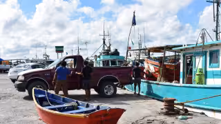 Veda del mero golpea al sector pesquero de Progreso; capturas alternativas apenas sostienen la actividad
