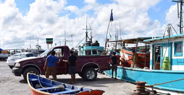 Rubia y canané sustituyen al mero, pero dejan pocas ganancias a pescadores de Progreso