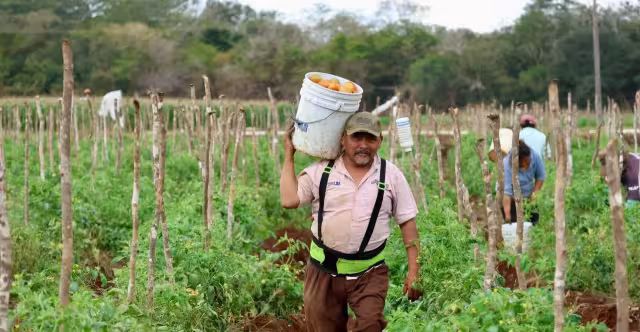 Conagua abre módulos en Yucatán para regularizar concesiones de aguas nacionales