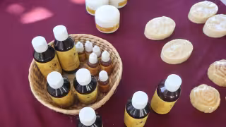 Desde Yucatán, destacan beneficios de la miel, pero llaman a consumirla con moderación