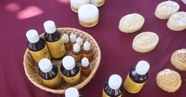 Yucatán presume su miel rica en nutrientes